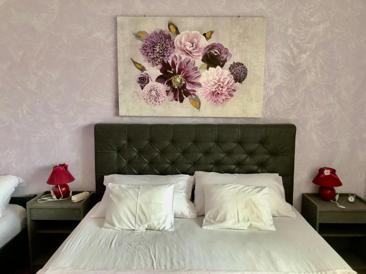 Apartments Pine & Oak With Shared Seasonal Hot Tub بريفلاكا المظهر الخارجي الصورة